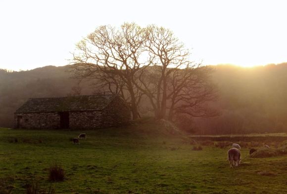 Duddon Valley, 2/1/15