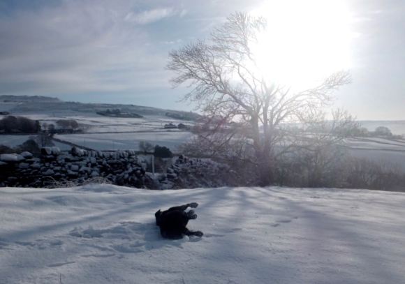 Maggie snow, 18/1/15