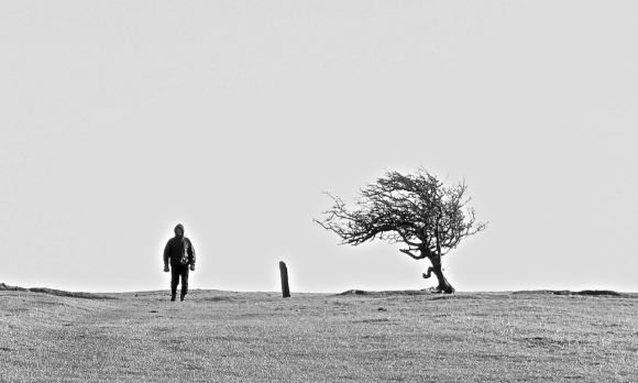 On Watch Hill, 24/1/15