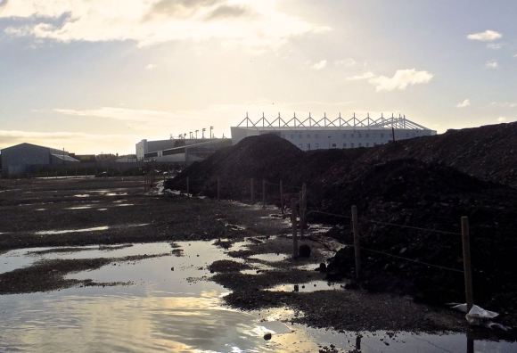 Bloomfield Road, 31/1/15