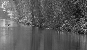 Huddersfield Narrow Canal, 22/3/15