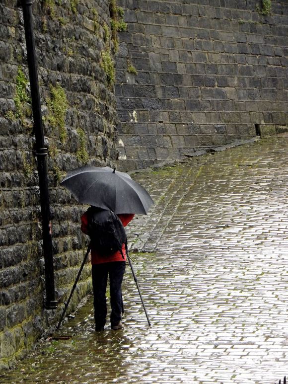 Umbrella photographer, 12/4/15