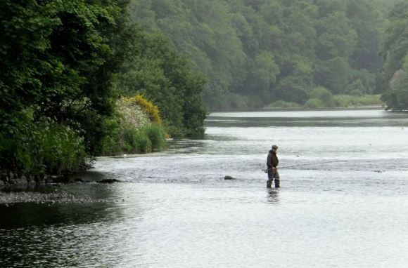 River Dee, 24/6/15