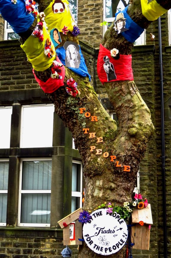 Trades Club tree, 28/6/15