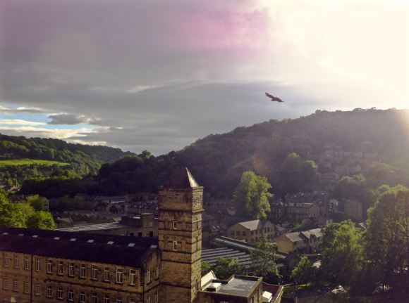 View from house, 22/6/15