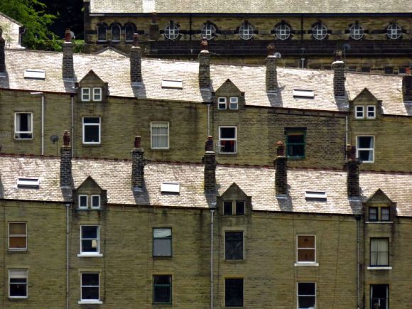 Birchcliffe hillside, 12/7/15