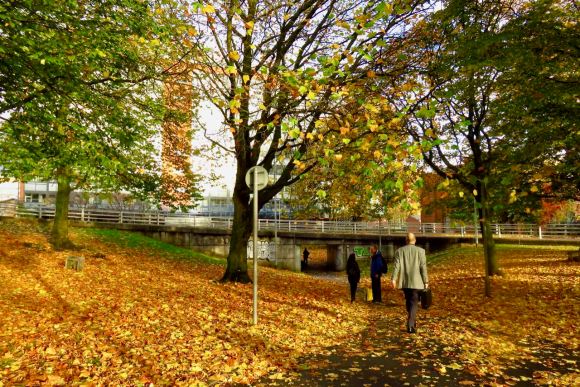 Near Mancunian Way, 30/10/15