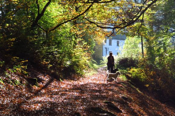 November day, 1/11/15