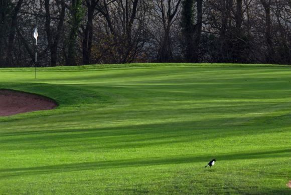 Golf course, 9/12/15
