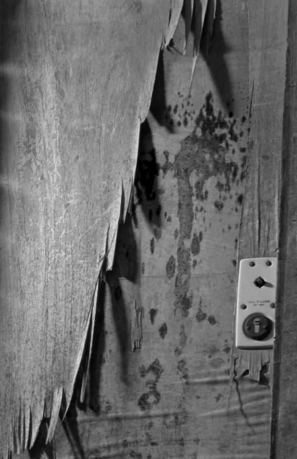 Peeling door, 19/12/15