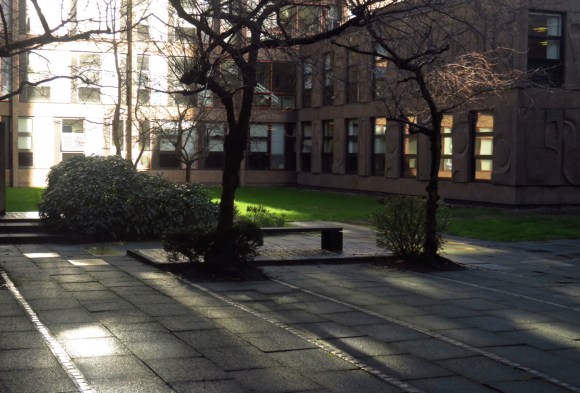 My courtyard, 3/2/16