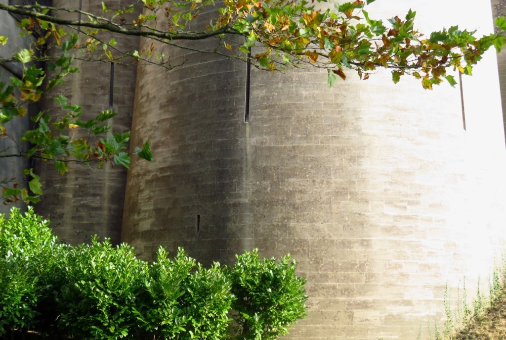 Arundel castle walls, 23/10/16