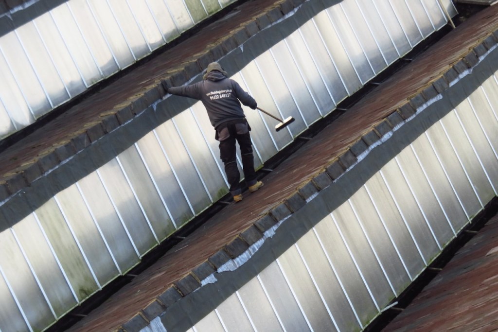 Bloke on roof, 2/12/16