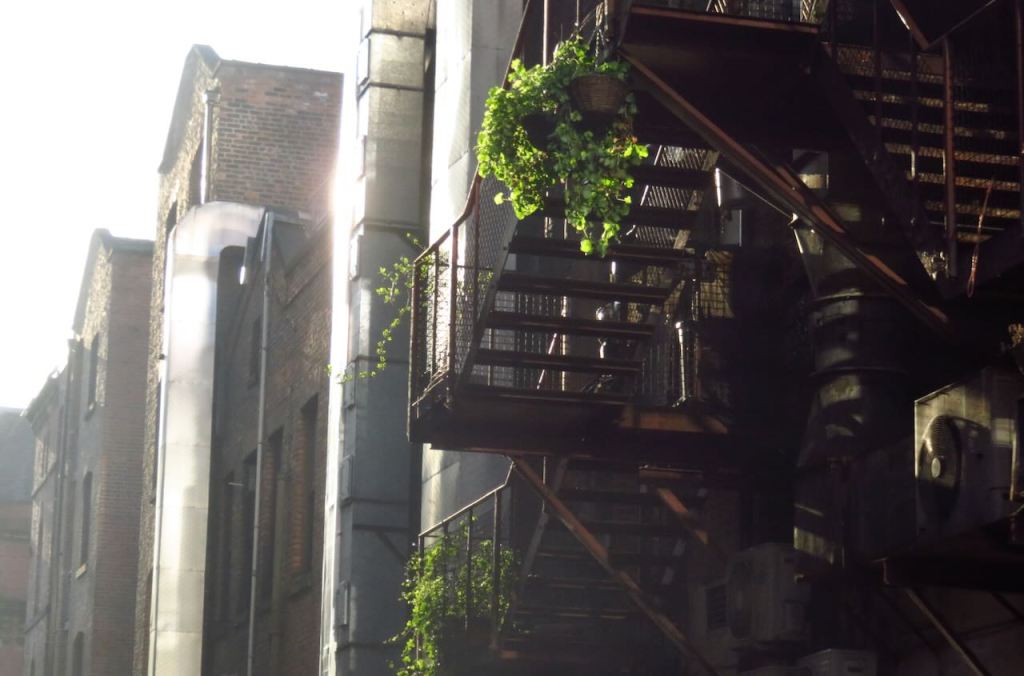 Fire escapes, 13/2/17