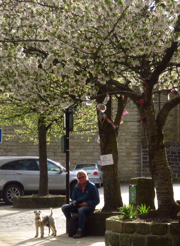 Sunny afternoon, 1/4/17