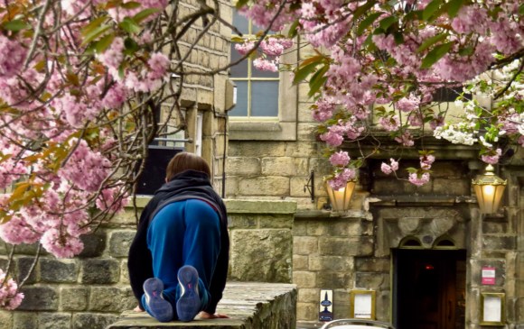 Under the blossom, 28/4/17