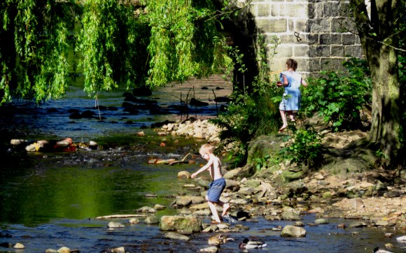 River frolic, 23/5/17