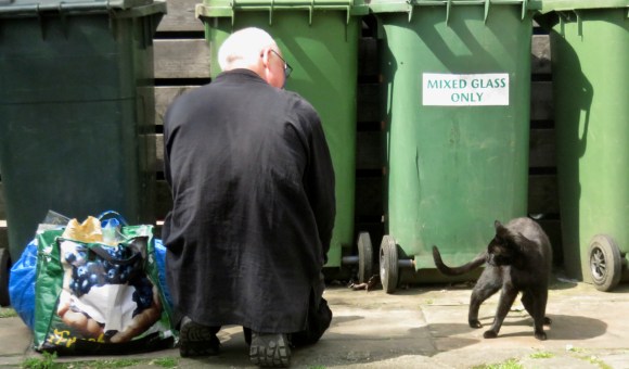 Cat encounter, 6/8/17