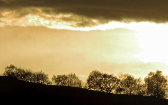 Trees at sunset, 30/10/17