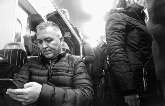 Cattle truck, 20/11/17