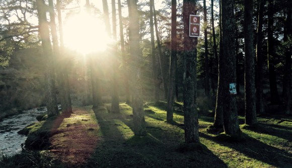 Forest of Bowland, 27/12/17