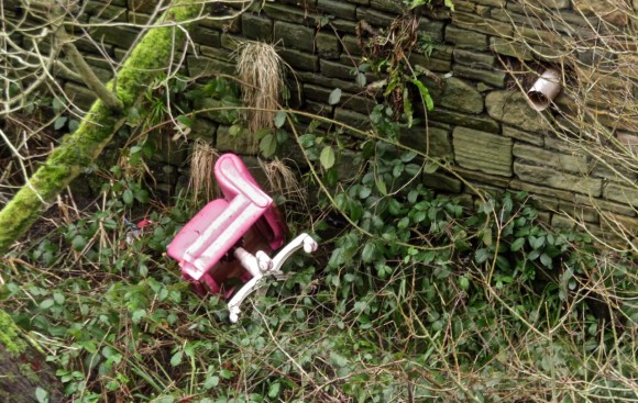 Pink litter, 22/1/18