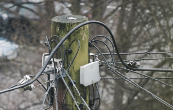 Telegraph pole, 2/1/18