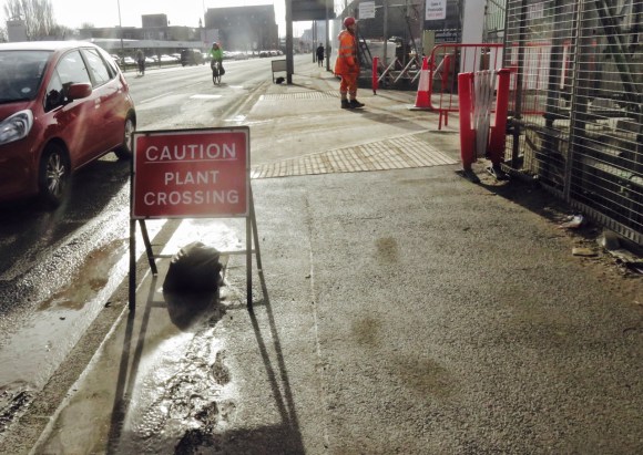 Plant crossing, 9/3/18