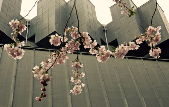 Blossom and Contact Theatre, 10/4/18