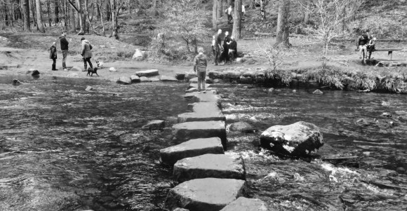 Stepping stones, 8/4/18