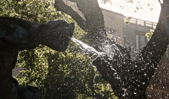 Gargoyle spit, 10/5/18