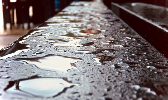 Rain on bench, 25/5/18