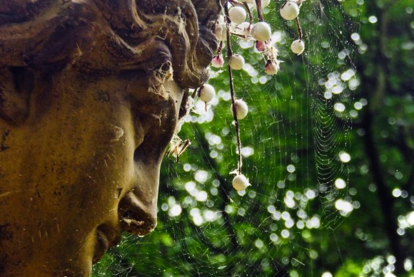 Cobwebbed statue, 20/6/18