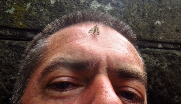 Self-portrait with moth, 1/6/18