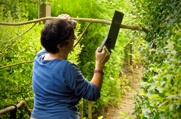 Clare does hedge, 2/8/18