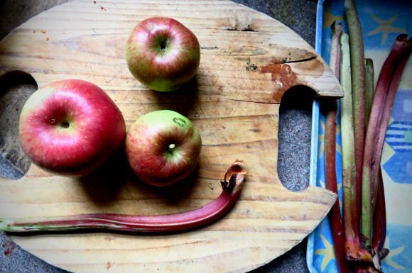 Apples and rhubarb, 21/10/18