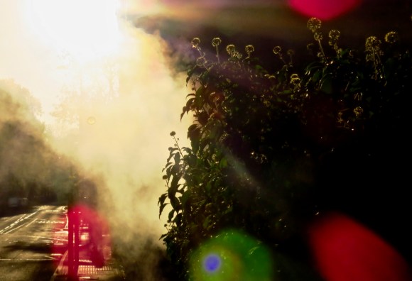 Mysterious mist, 29/10/18