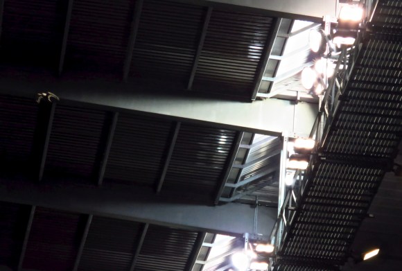 Etihad hawk, 1/11/18