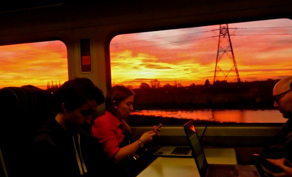 Oblivious to sunset, 14/11/18