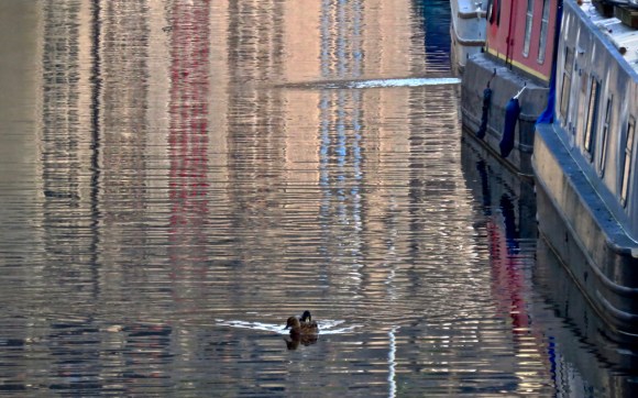 Ducks and barges, 11/12/18