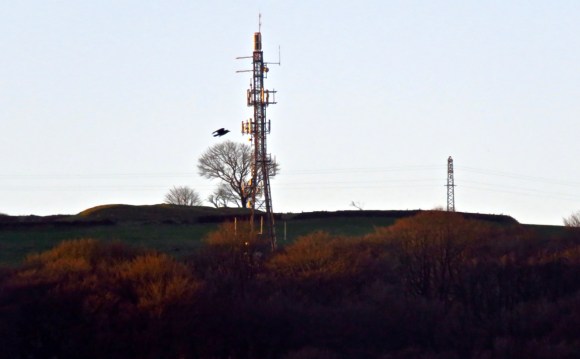 Mobile mast, 17/1/19