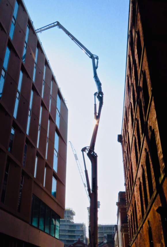 Spidery crane, 17/4/19