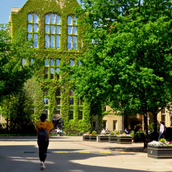 Old Quadrangle, 14/5/14