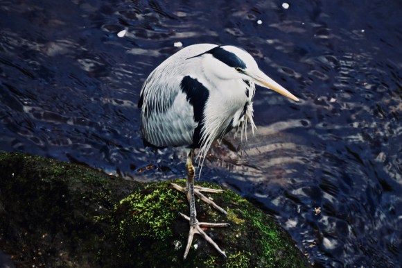 Humph again, 10/6/19