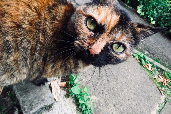 Mathilda again, 8/8/19