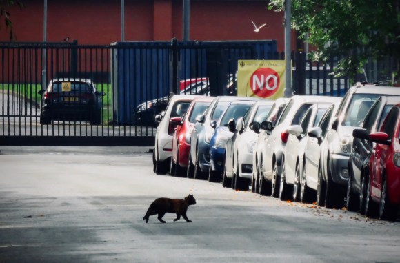 Acomb Street, 30/9/19