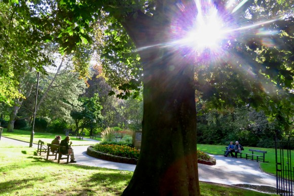 Memorial gardens, 1/9/19