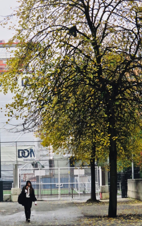 Campus, autumn colour, 15/10/19