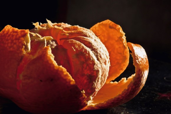 First satsuma, 8/10/19