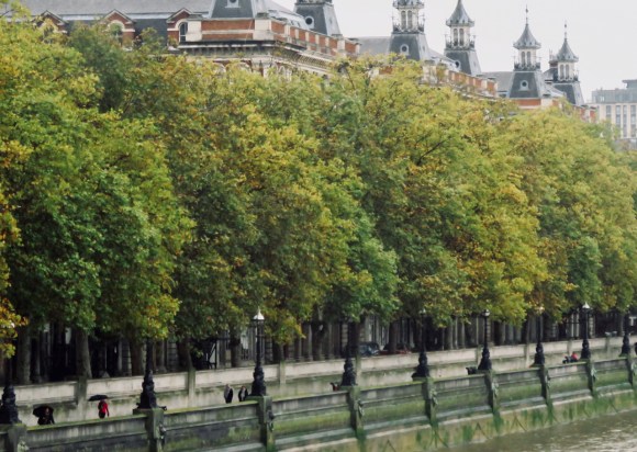 South bank, 12/10/19